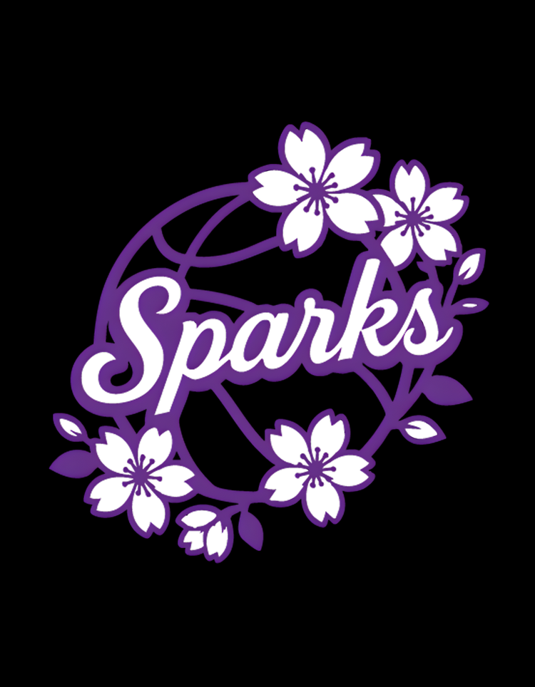 SPARKS BASKETBALL